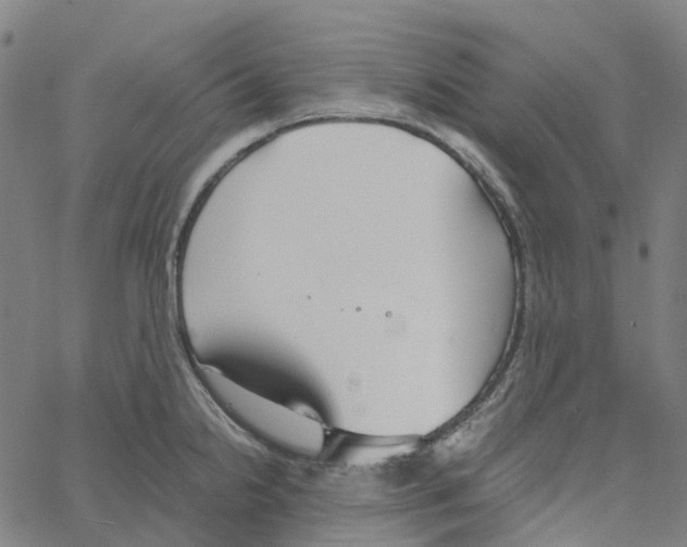 X0000061111238200512161405