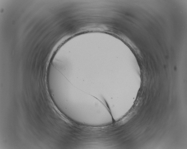 X0000061111240200512161405