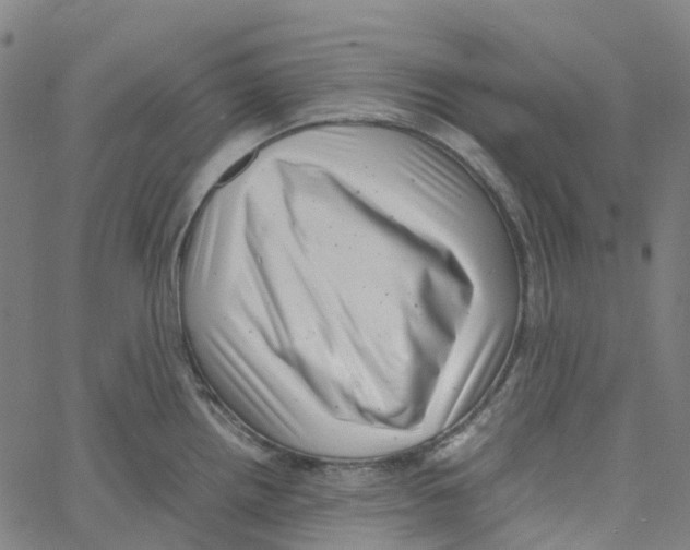 X0000061111242200512161405