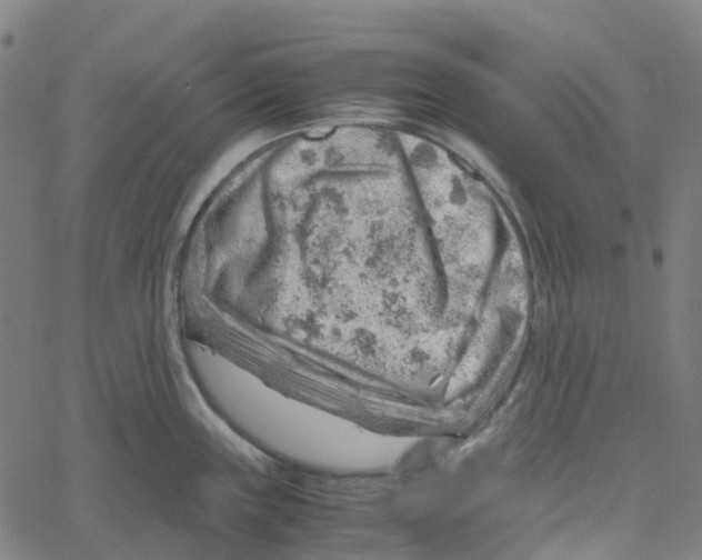 X0000061111243200512161405