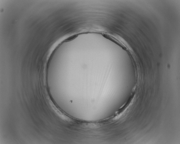 X0000061111246200512161405