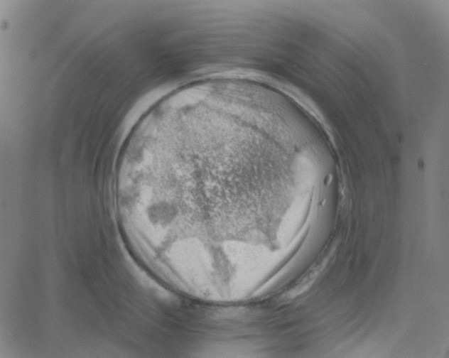 X0000061111247200512161405