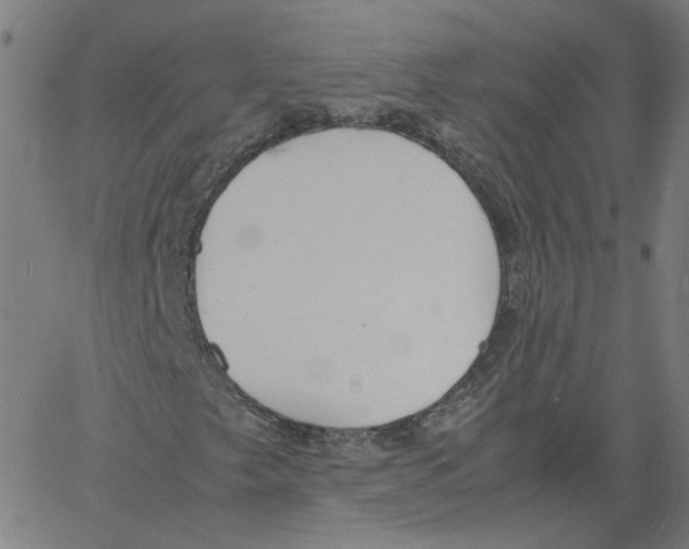 X0000061111249200512161405