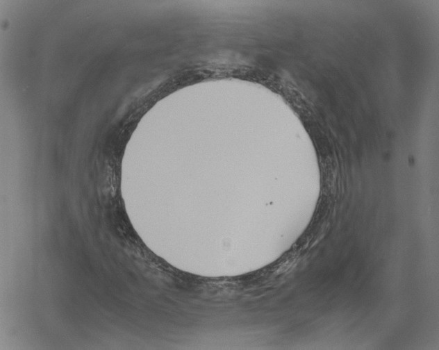 X0000061111253200512161404