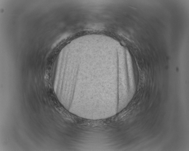 X0000061111254200512161404