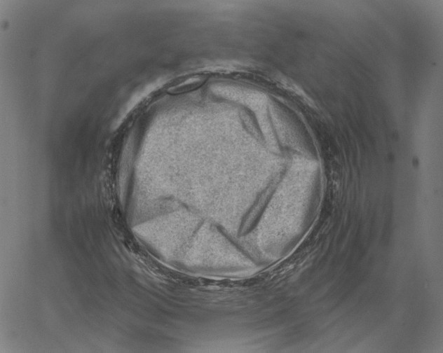 X0000061111256200512161404