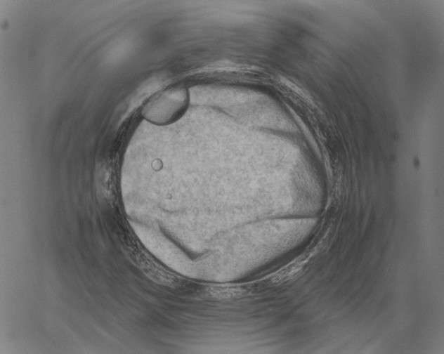 X0000061111258200512161404