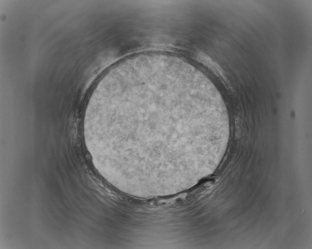 X0000061111260200512161404