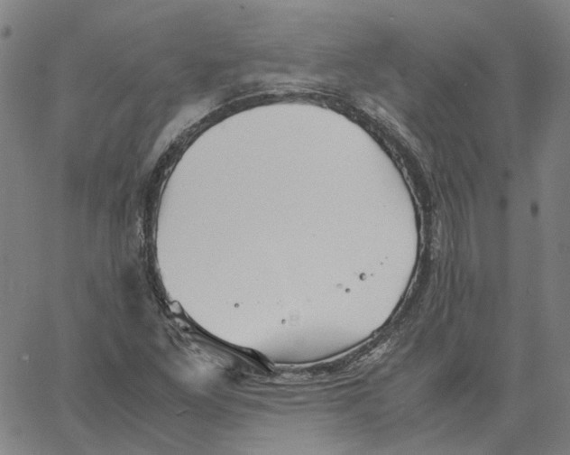 X0000061111261200512161404