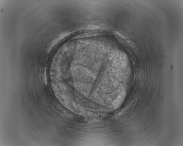 X0000061111262200512161404