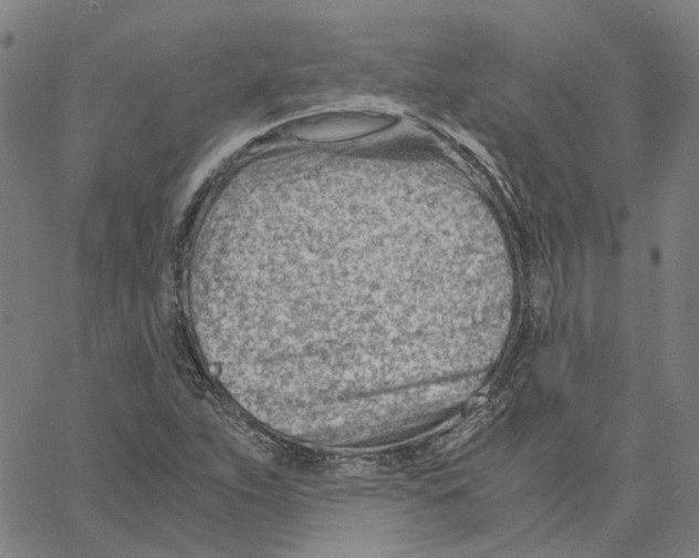 X0000061111263200512161404