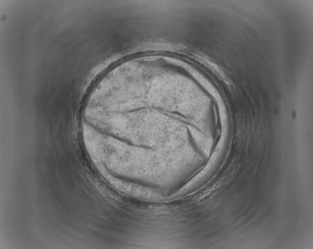 X0000061111264200512161404