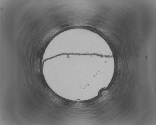 X0000061111265200512161404