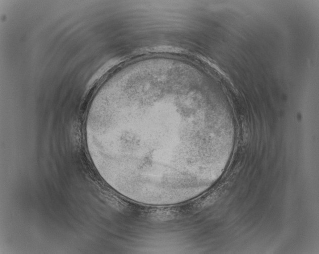 X0000061111266200512161404