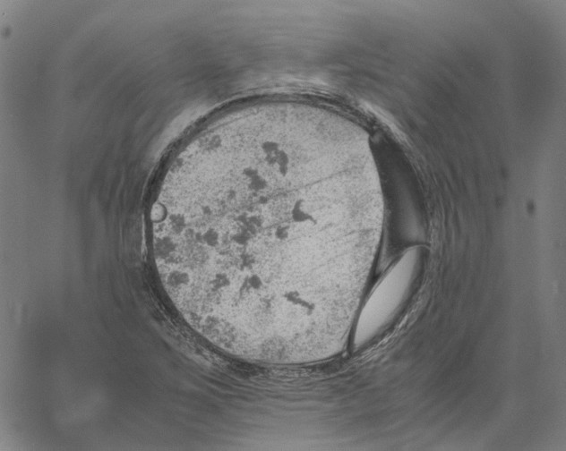 X0000061111267200512161404