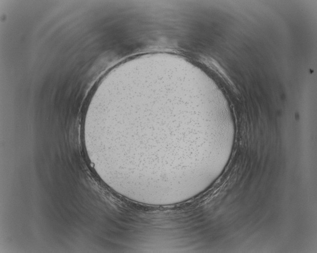 X0000061111268200512161404