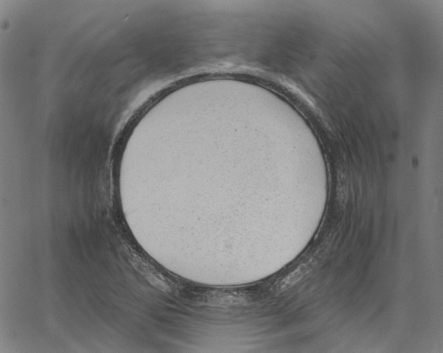 X0000061111270200512161404