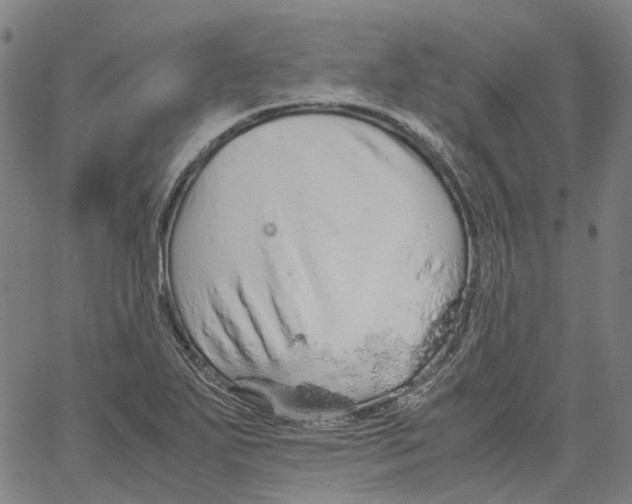 X0000061111271200512161404