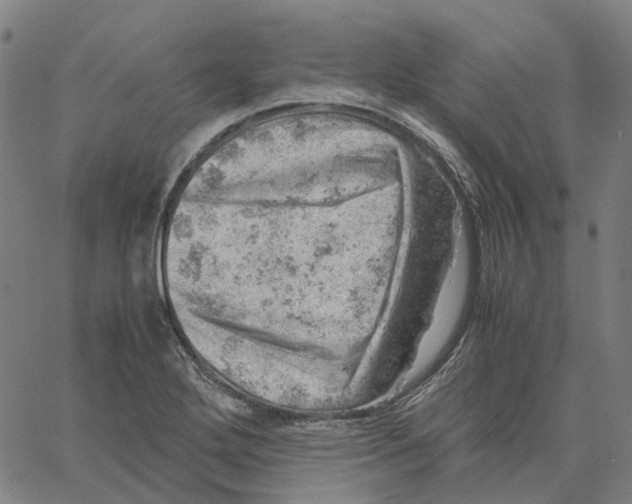 X0000061111272200512161404