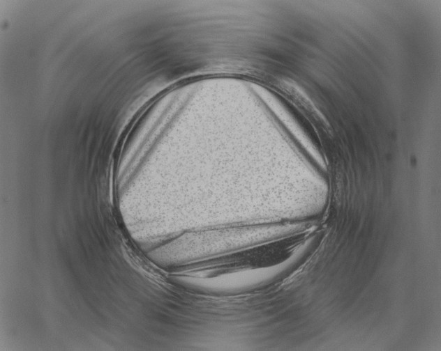 X0000061111276200512161404