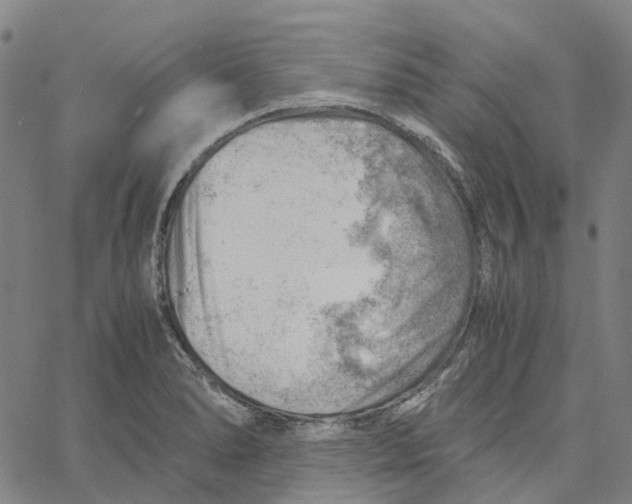 X0000061111278200512161404