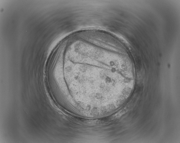 X0000061111279200512161404