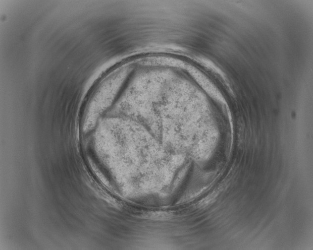 X0000061111280200512161404