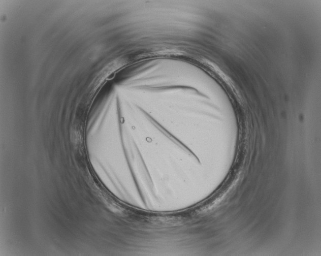 X0000061111281200512161404