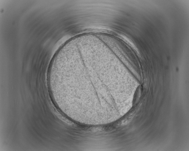 X0000061111283200512161404