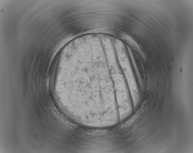 X0000061111284200512161404