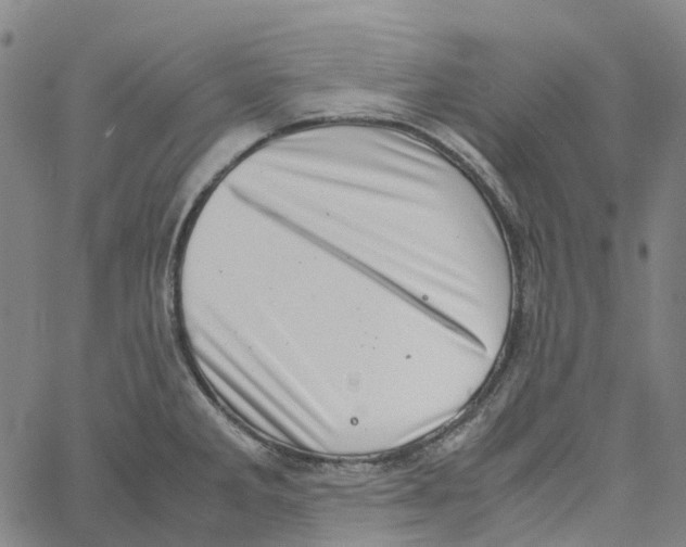 X0000061111285200512161404