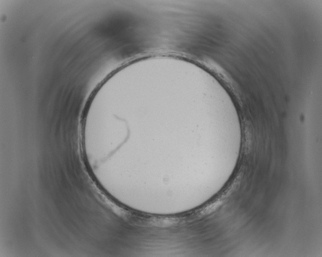 X0000061111286200512161404