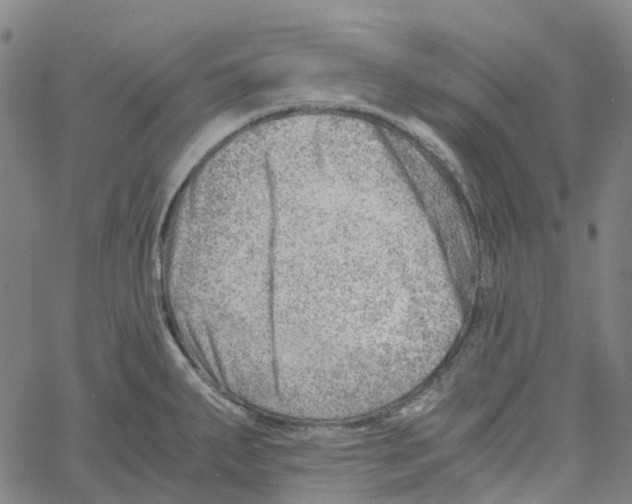 X0000061111287200512161404