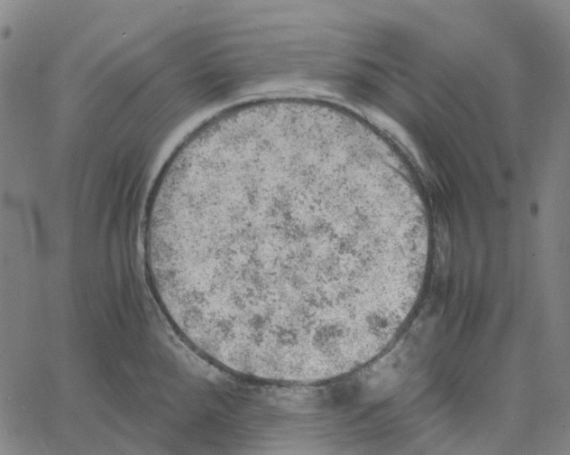 X0000061111288200512161404