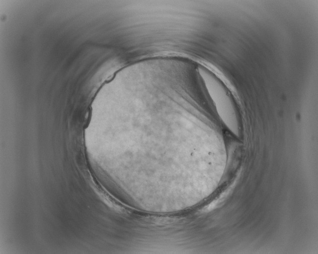 X0000061111289200512161404