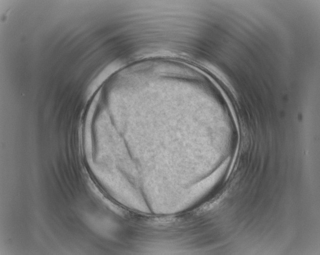 X0000061111290200512161404