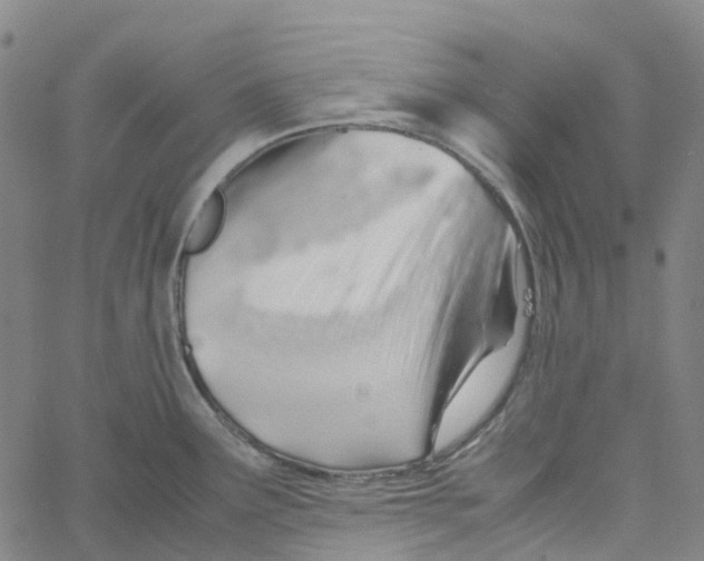 X0000061111291200512161404