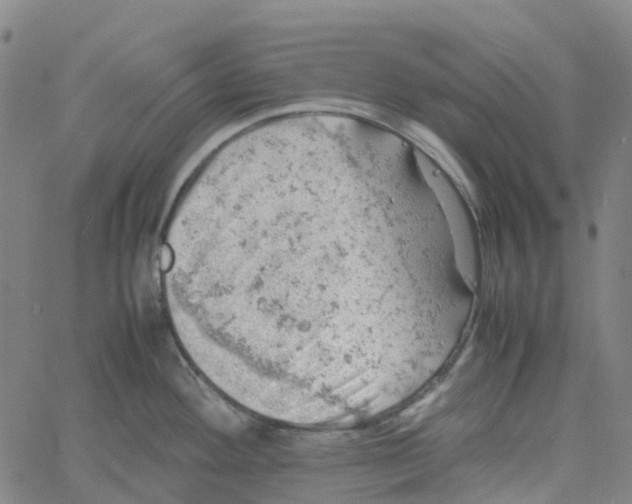 X0000061111292200512161404