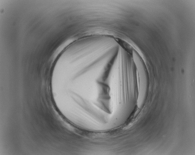 X0000061111293200512161404