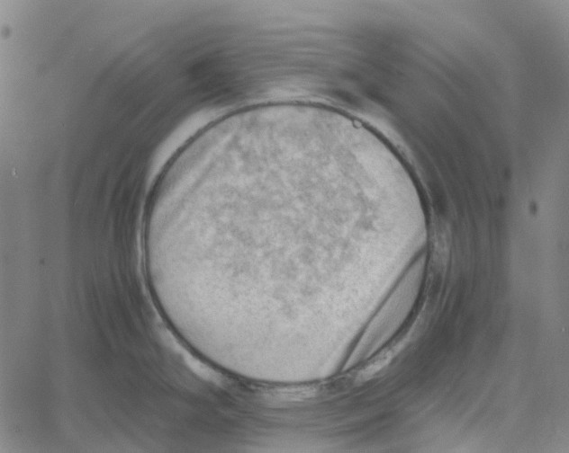 X0000061111294200512161404