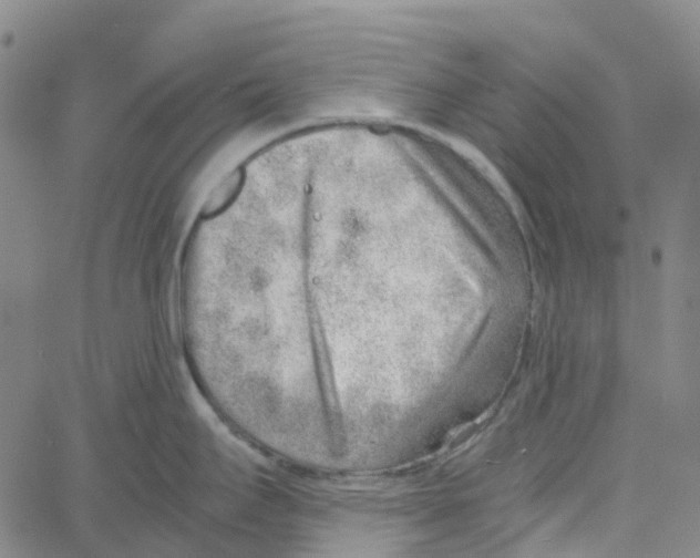 X0000061111295200512161404