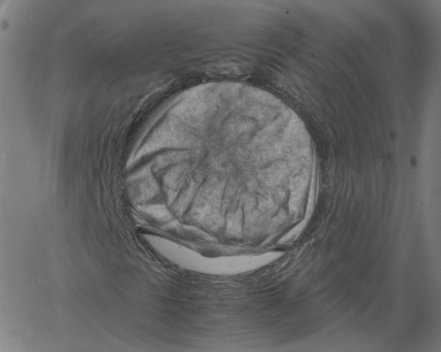 X0000061111297200512161403