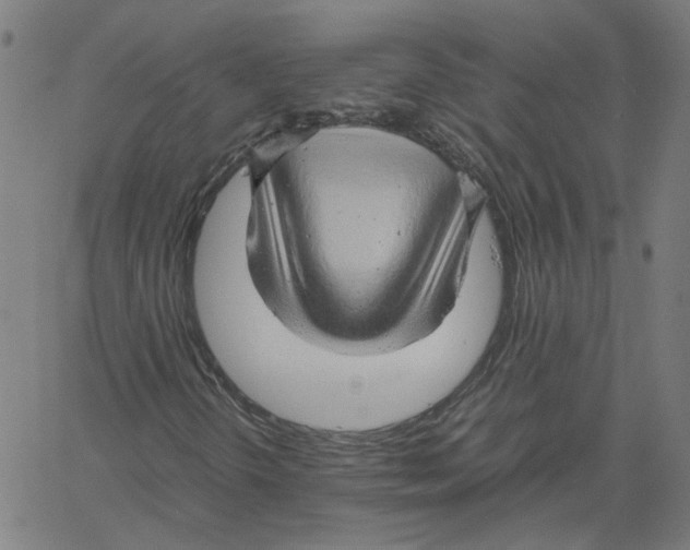 X0000061111298200512161403