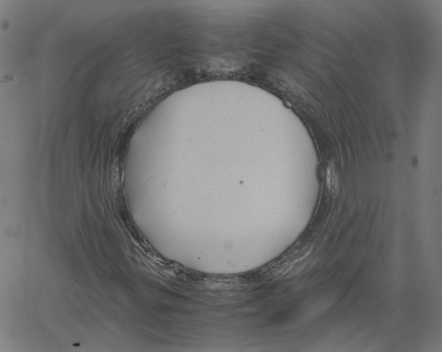 X0000061111299200512161403