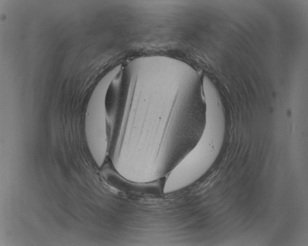 X0000061111300200512161403