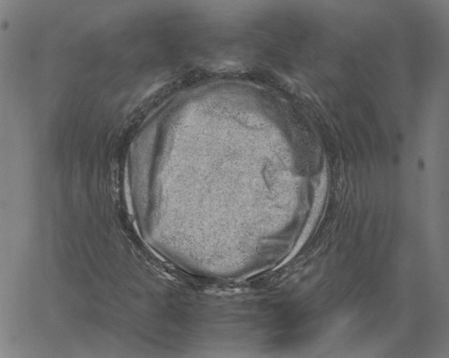 X0000061111301200512161403