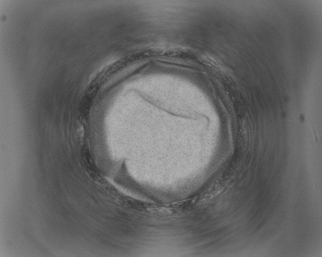 X0000061111302200512161403