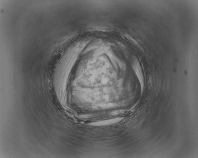 X0000061111303200512161403