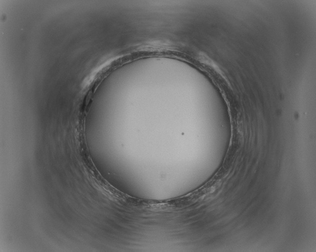 X0000061111304200512161403