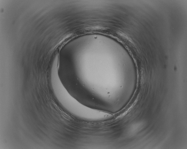 X0000061111305200512161403